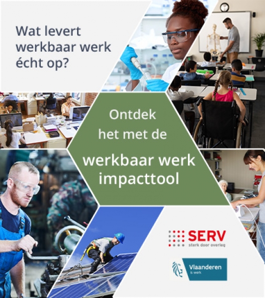 Digitale demosessie SERV: werkbaar werk impacttool